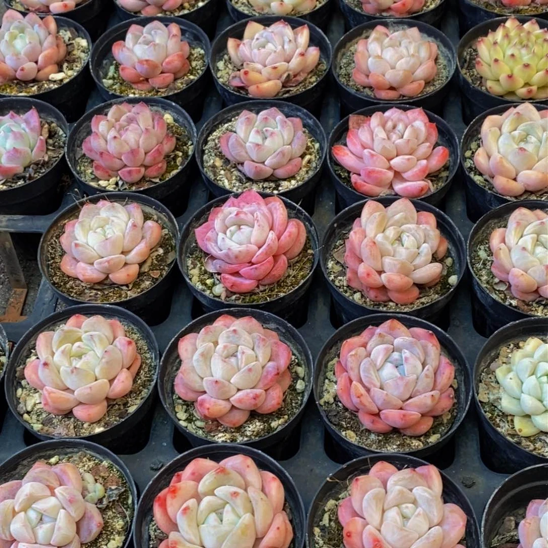 卓*王318的人在一起的时候就