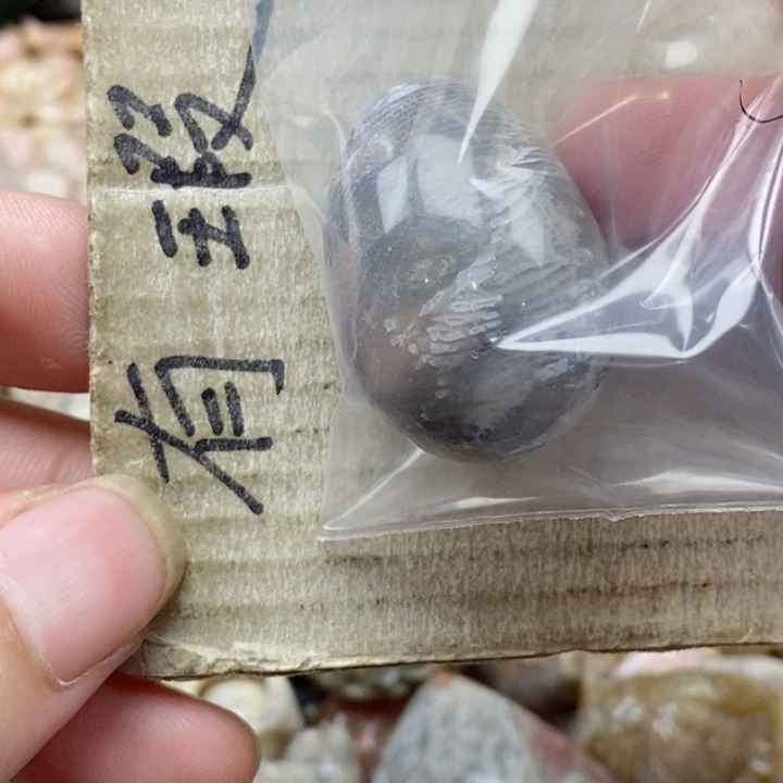 硅化珊瑚（珊瑚玉）未镶嵌颈饰彬
