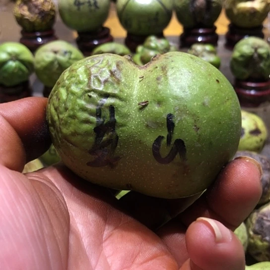 吊坠桃核核桃核桃