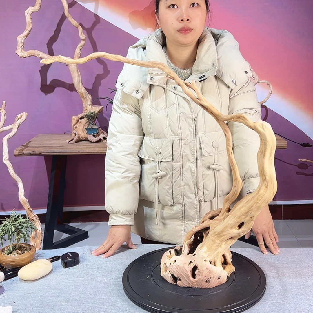 李***灯木天然杜鹃根根艺摆件