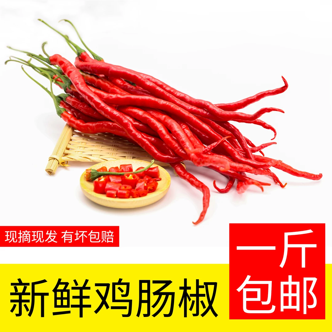 鸡肠子青红辣椒新鲜采摘产地直发包邮薄皮软辣椒皱皮辣椒