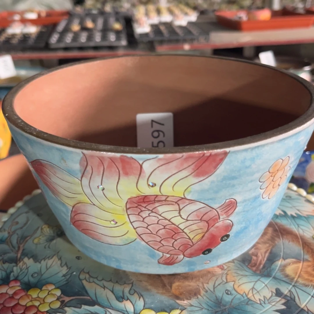 597多肉花盆   1个