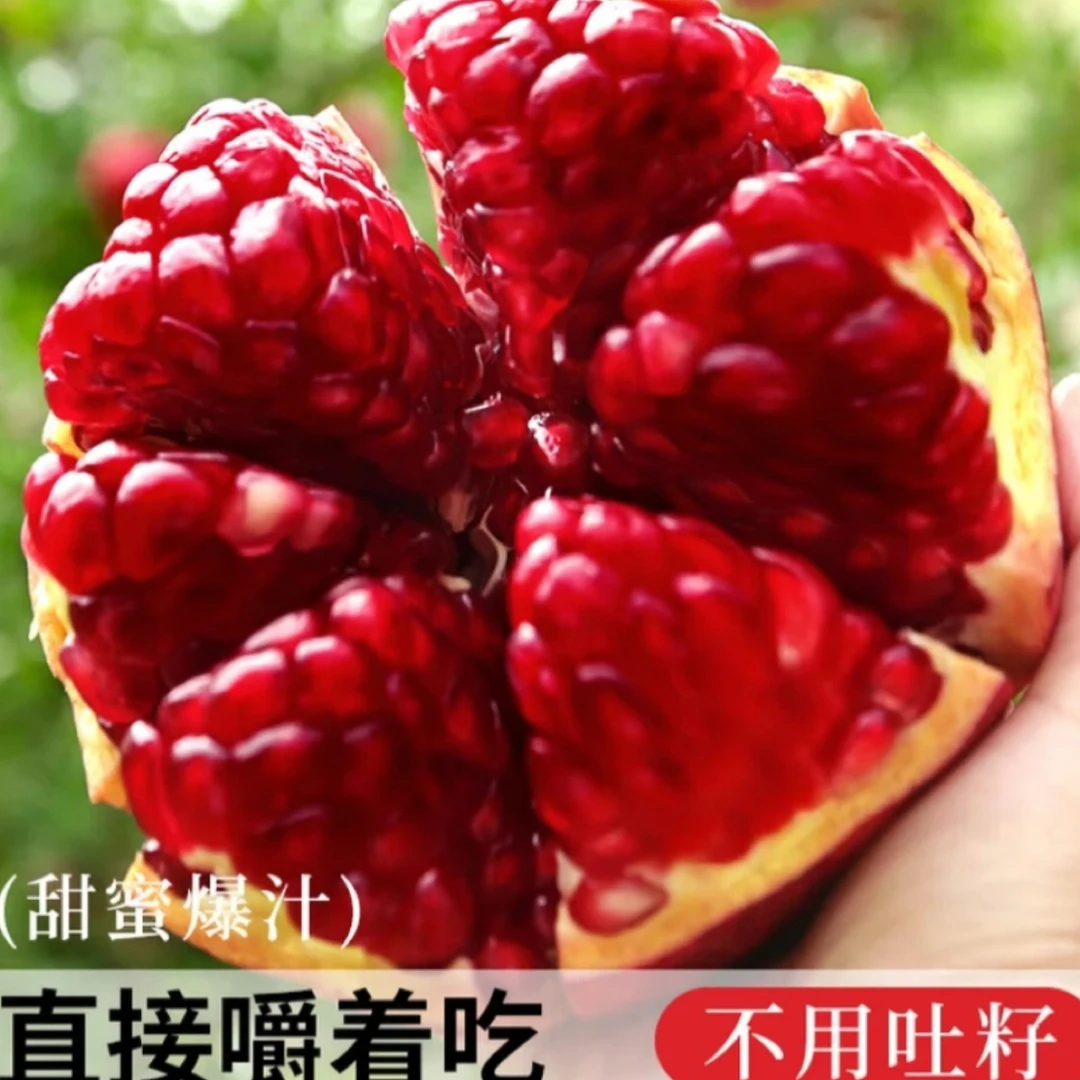 【6个装】会理软籽石榴单果200-300g新鲜现摘当季水果爆汁LW