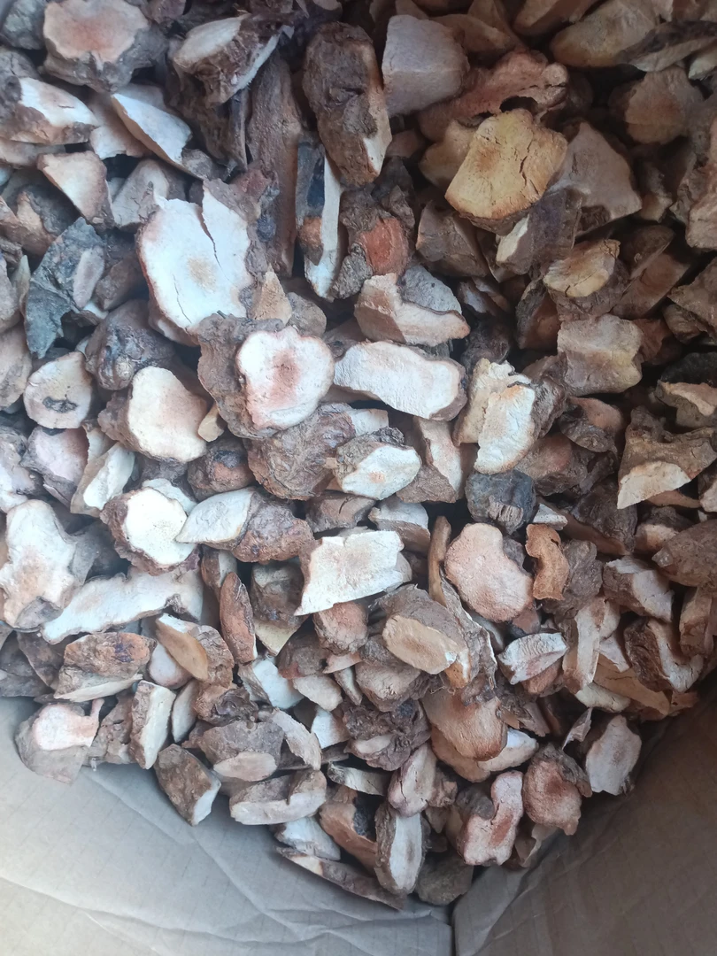 野生土茯苓 自然晒干 （干货）