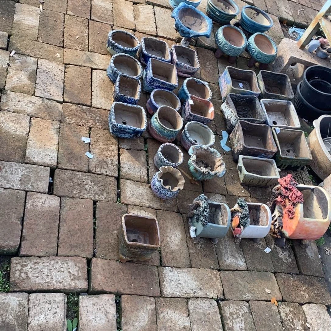 苹****18号多肉盆32个组合