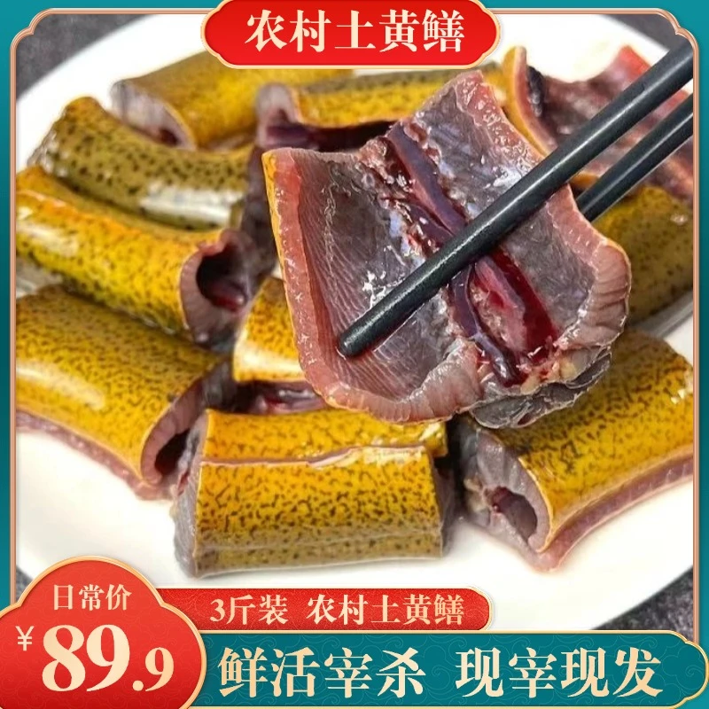 BD 【3斤新鲜活鱼宰杀】3斤 新鲜鳝鱼段带骨鳝鱼段 杀好切段发货