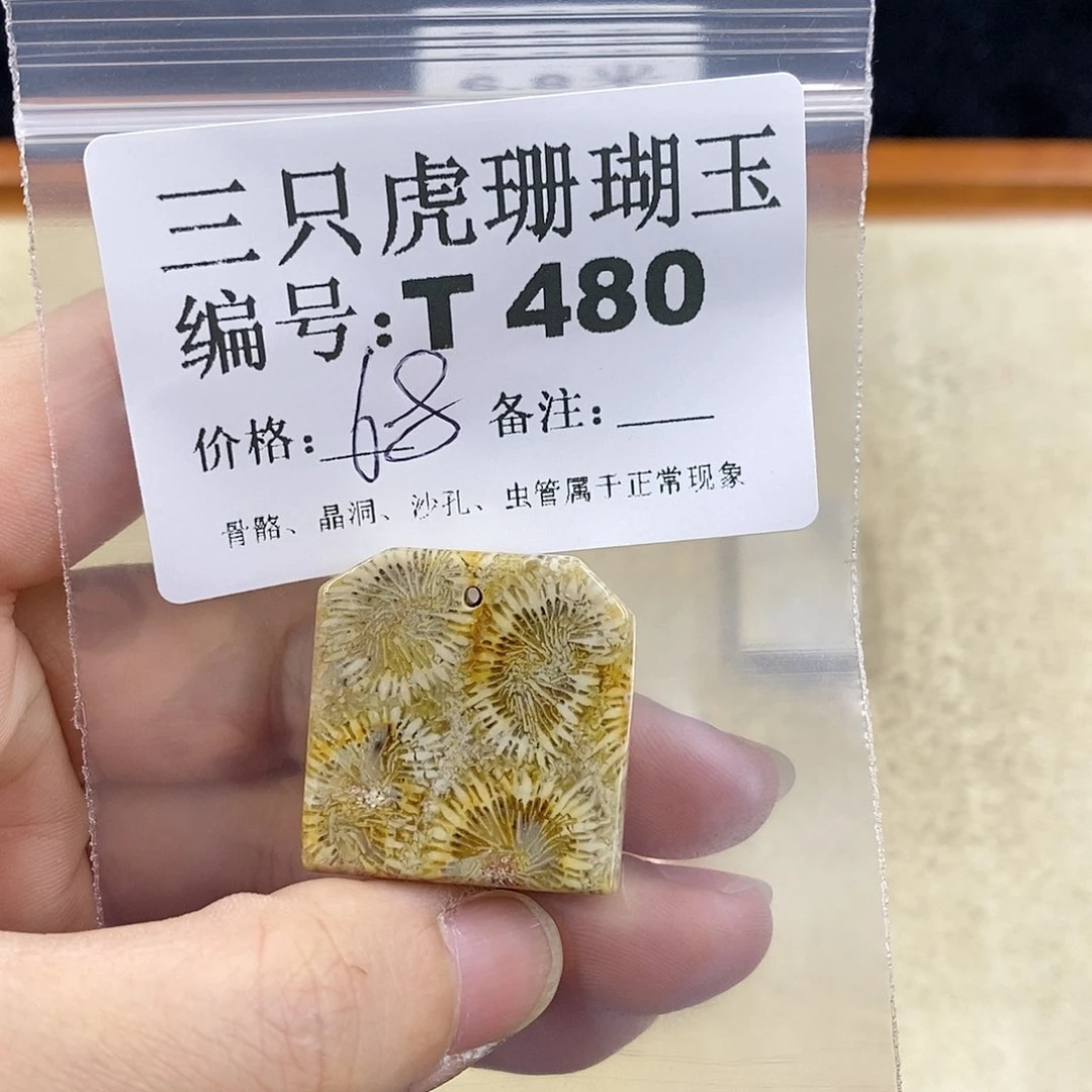 硅化珊瑚（珊瑚玉）1未镶嵌星**