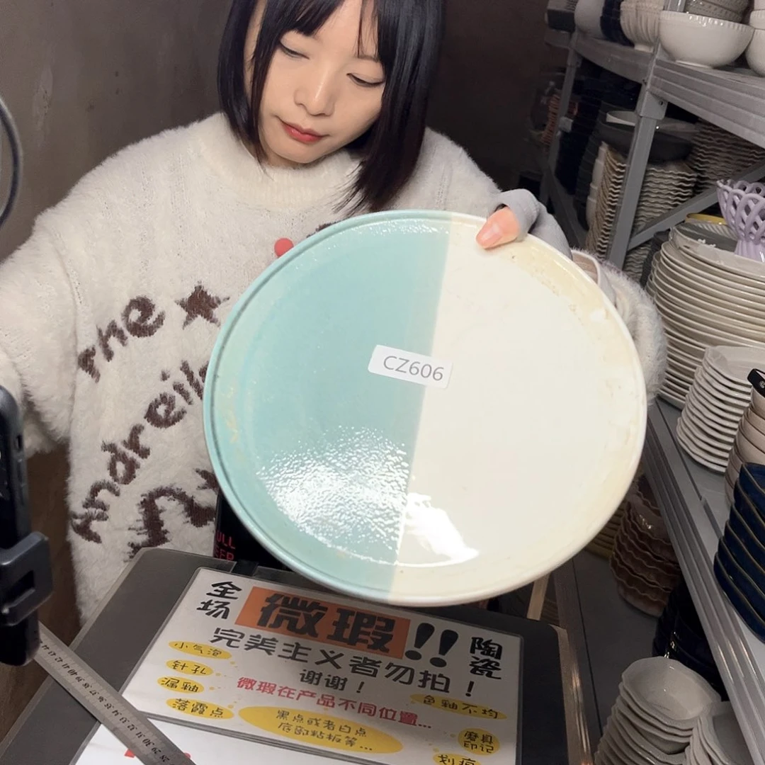 瓷片0009。            2个