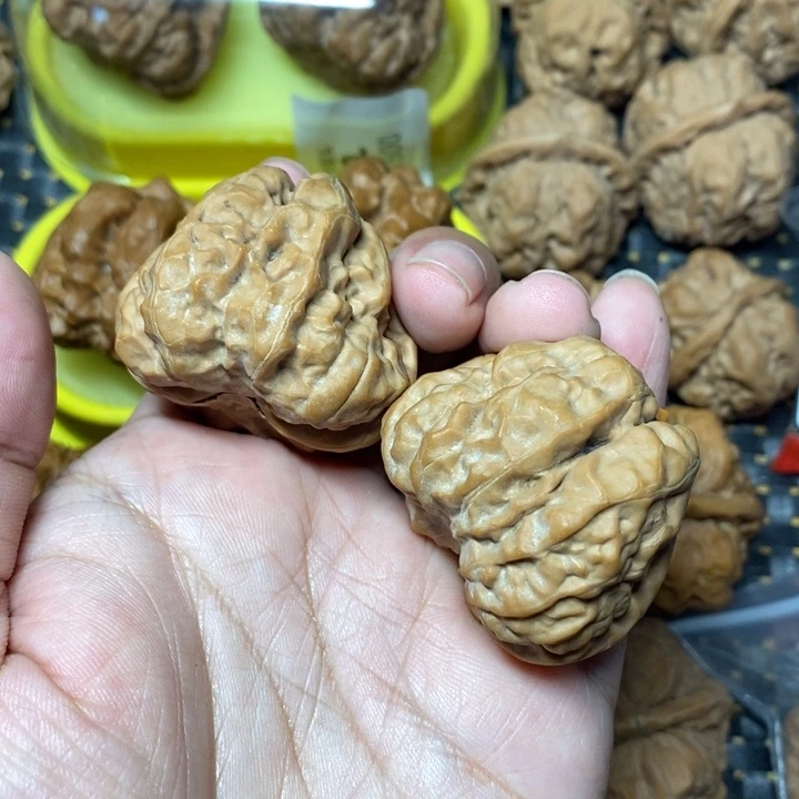 把件文玩核桃蛤蟆头42