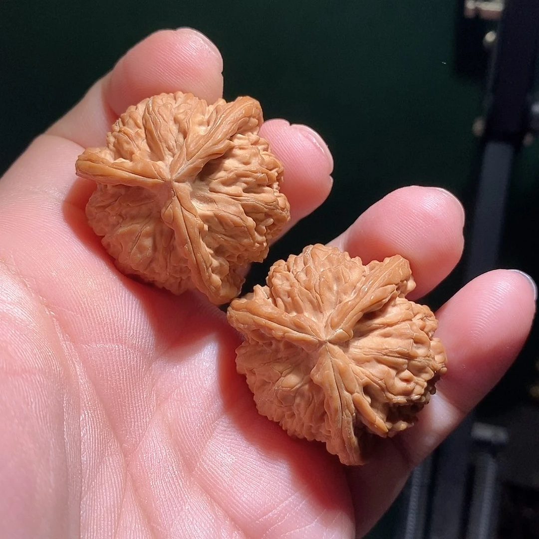 文玩核桃把件37白奔全品