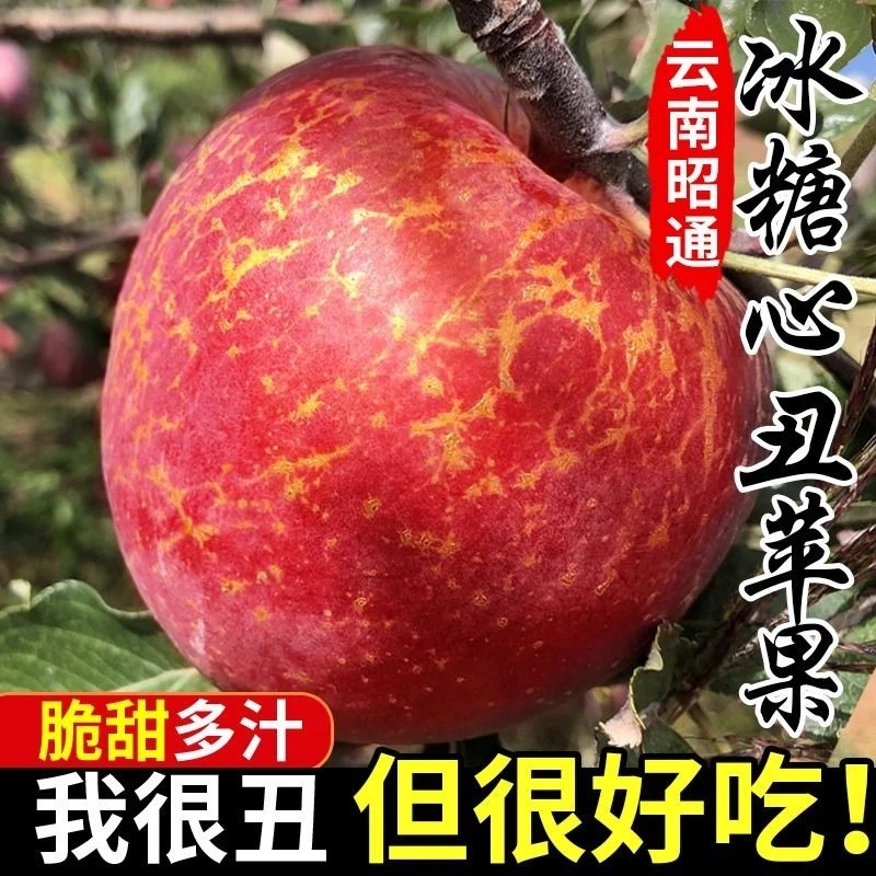 【产地直发】云南昭通冰糖心丑苹果新鲜现摘脆甜平安多汁应季水果
