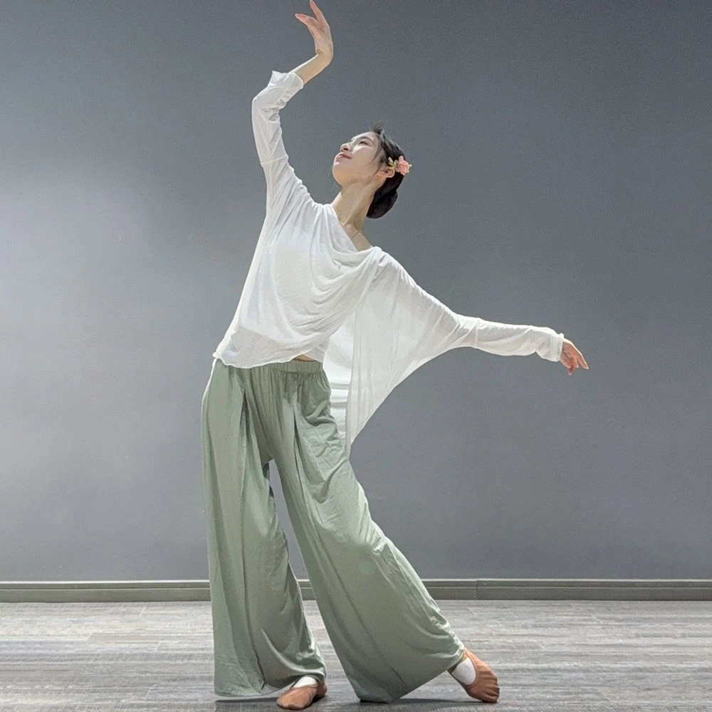 古典舞飘逸宽松长袖罩衫现代舞蹈服上衣专业老师中国舞形体练功服
