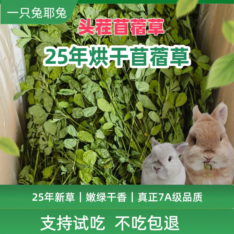 2025头茬苜蓿草兔草食用草龙猫粮草荷兰猪牧草新草苜宿草干草