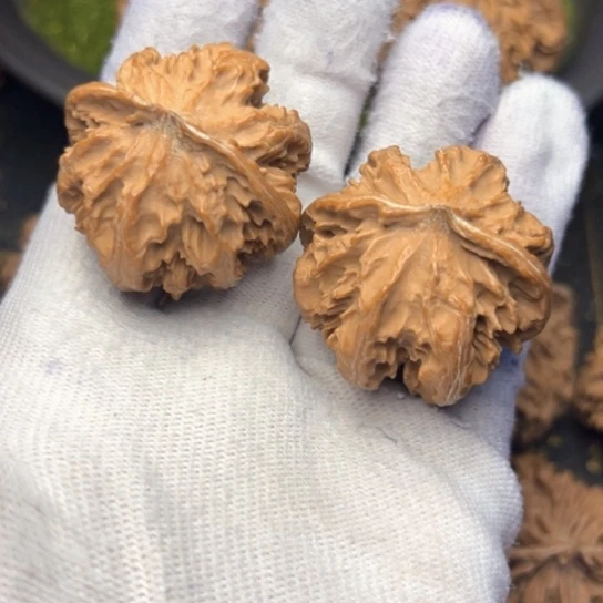 文玩核桃把件秦岭核桃30