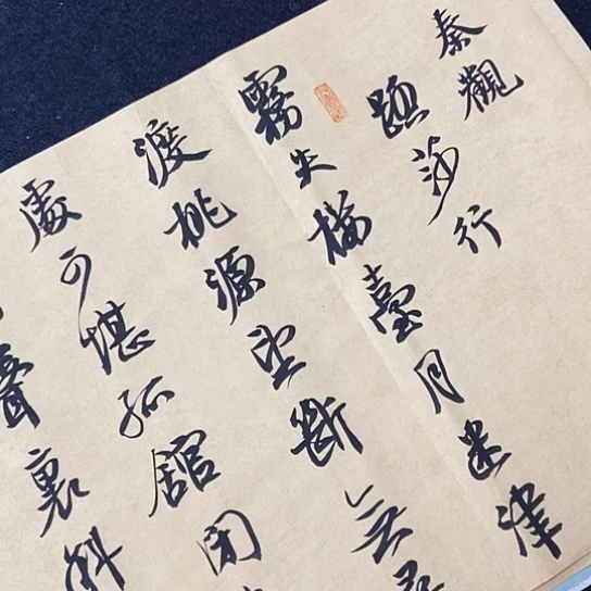 书法张建东老师书法作品