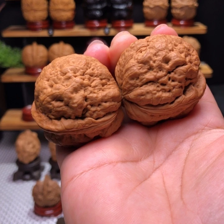 【闪购商品】认****分帝王蝉2