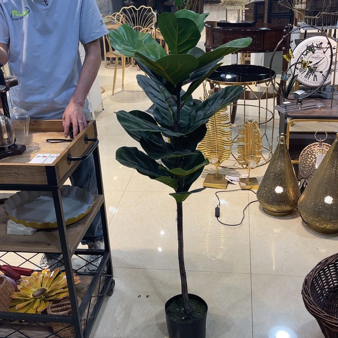 W*I红陶红陶红陶红陶红陶