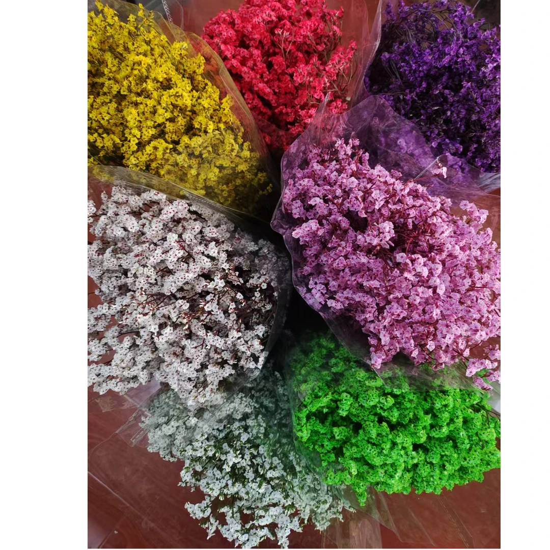 水晶草永生花染色干花花束家居装饰天然插花摆件手工diy花材