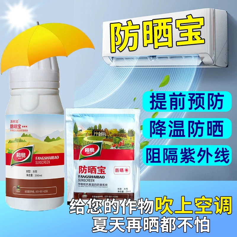 作物防晒专用剂辣椒茄子苹果梨葡萄柑橘防晒核桃番茄黄瓜遮阳伞