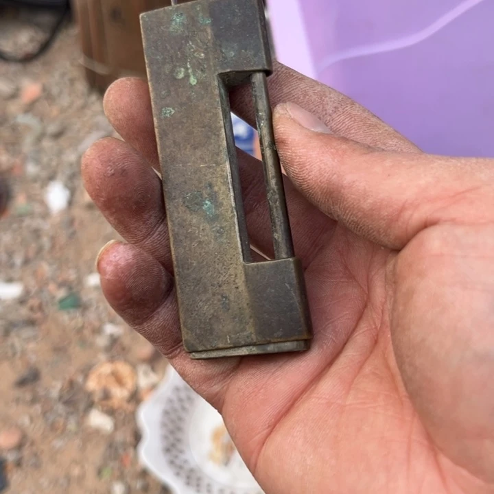 茜***叶杂色豆（科檀/科特迪瓦檀木）