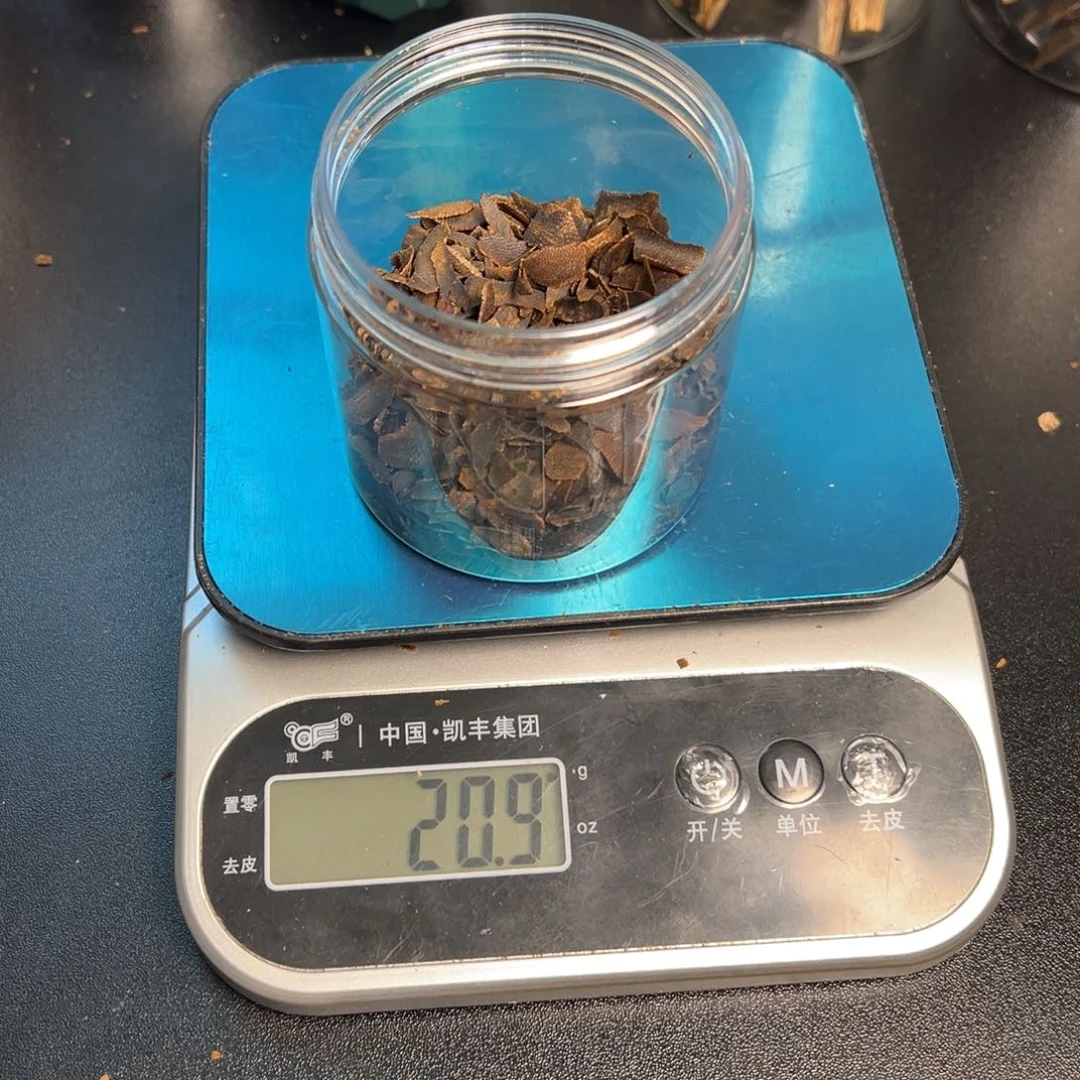 树脂制品洛**6海南澄迈原母树黑棋天然扭结香包壳沉水片20克