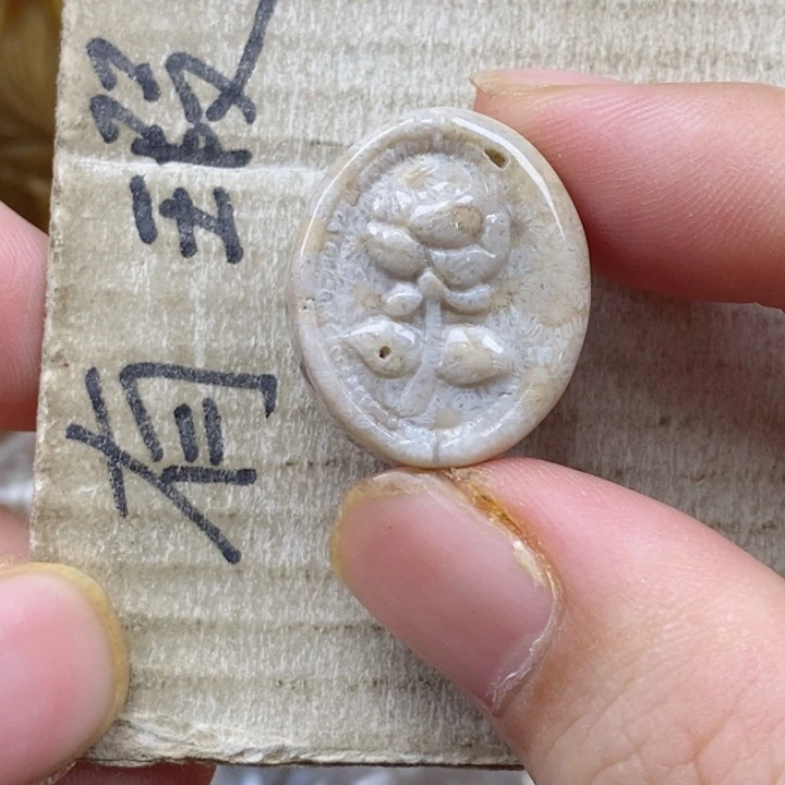 颈饰未镶嵌硅化珊瑚（珊瑚玉）独**?小