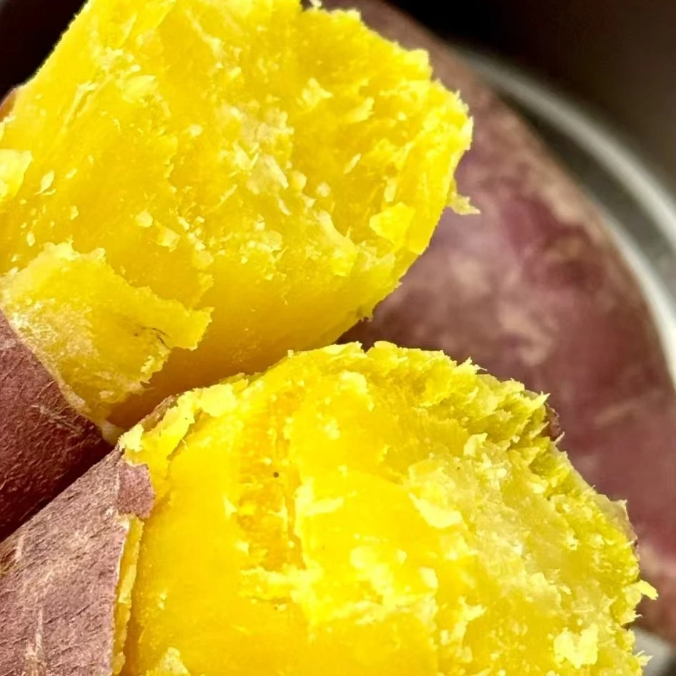 射洪本地板栗小番薯黄心番薯沙地地瓜粉糯香甜农家自种粗粮