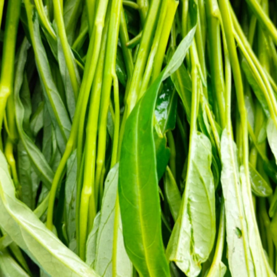 炒空心菜(最新尝鲜)g