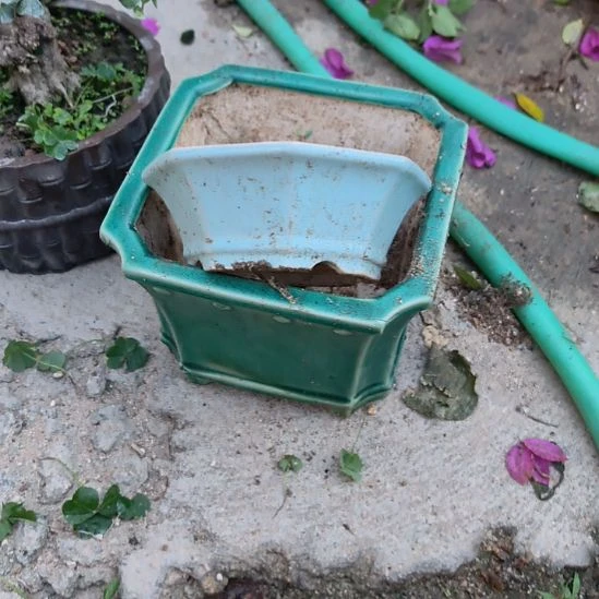 热***年石湾花盆包邮两个