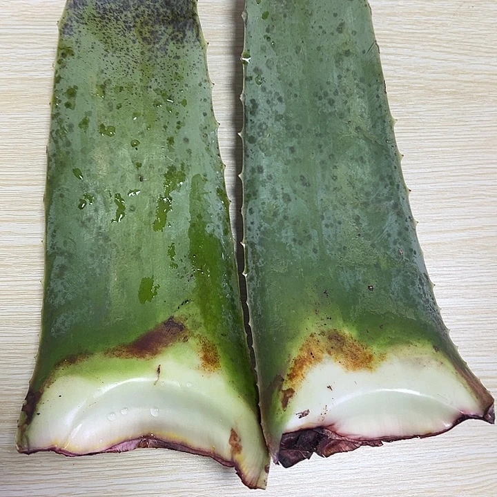 无花朵2片二级叶片，美容专用