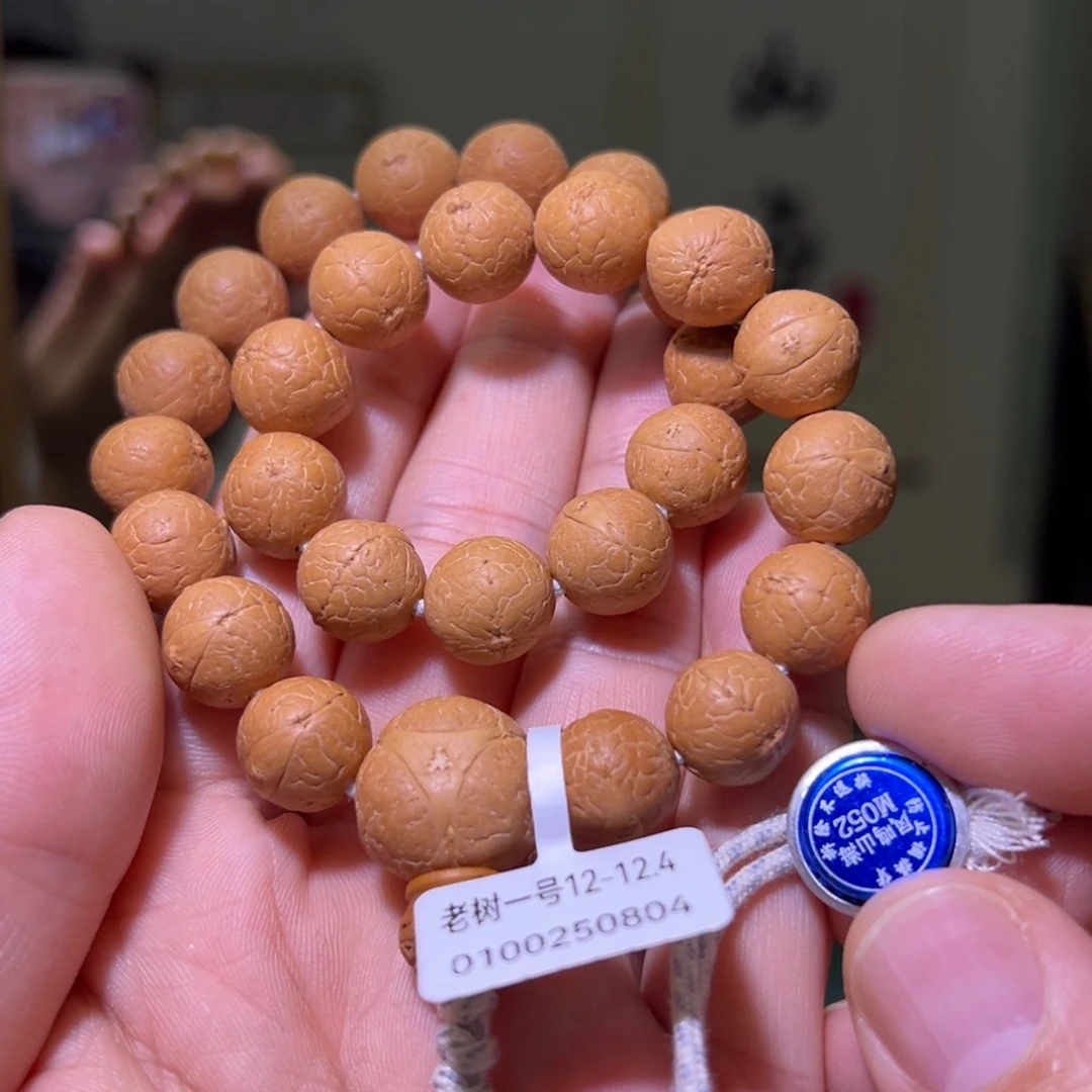 手串凤眼菩提25新籽，手持