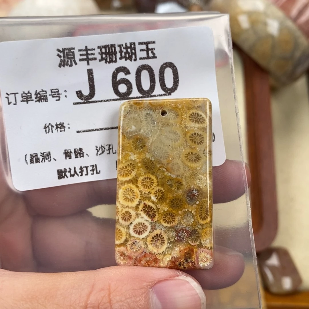 硅化玉颈饰未镶嵌W*L