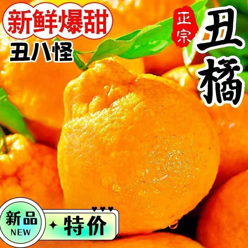 湖北高山丑橘新鲜水果当季桔子柑橘产地直发整箱