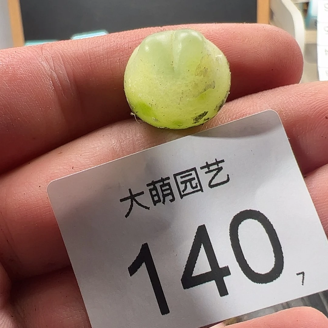 0000140 一物一拍……