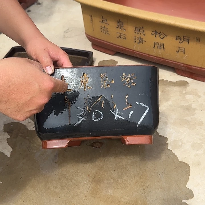 紫砂花盆这是我第一