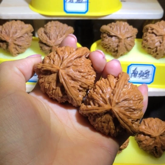 衡***下核桃手串/手链白狮子