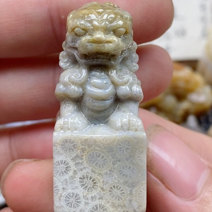 颈饰未镶嵌硅化珊瑚（珊瑚玉）