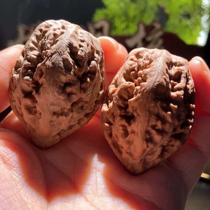 文玩核桃吊坠楸玥核5