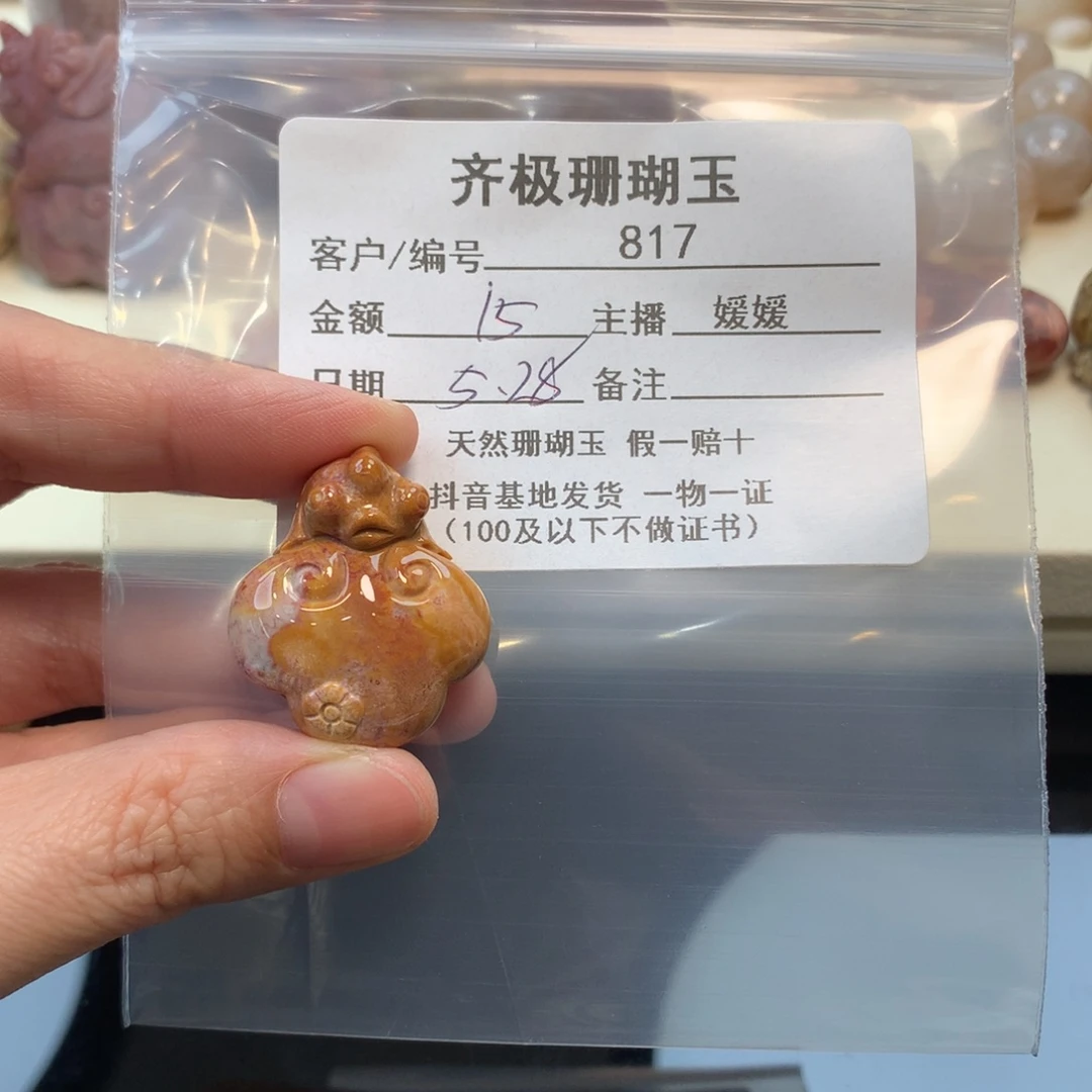 硅化珊瑚（珊瑚玉）未镶嵌颈饰抓****手