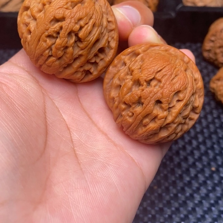 秦岭野生11111111111111