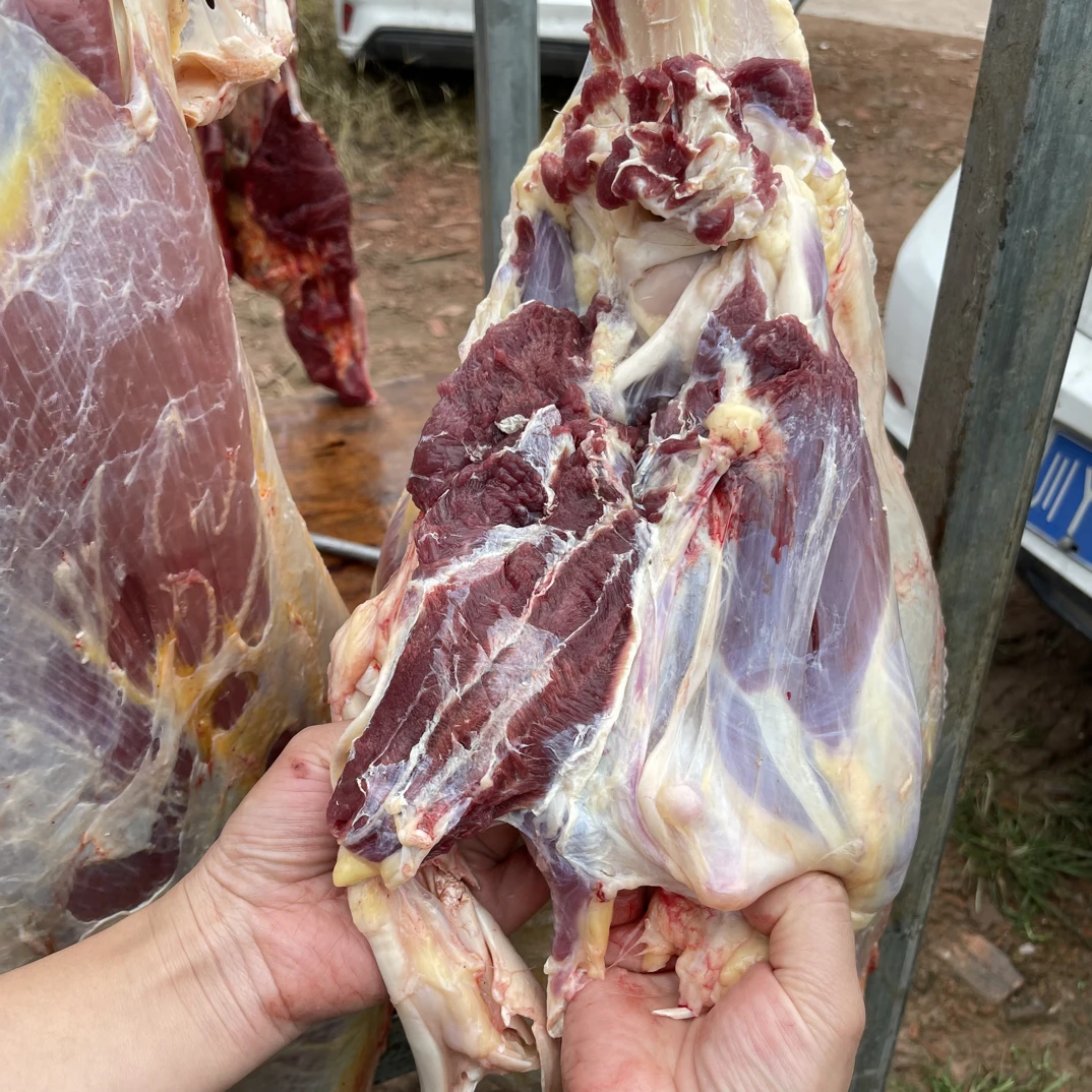 四川巴中黄牛肉3斤起顺丰空运包邮