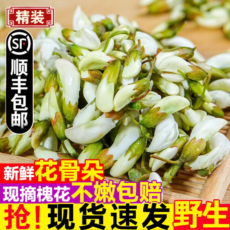【顺丰冷链】洋槐花2025秦岭野生新鲜现摘纯天然生长野菜食用花骨朵