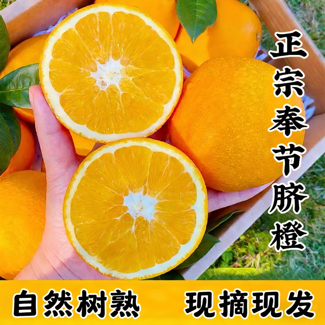 正宗奉节脐橙现摘现发鲜甜多汁新鲜水果5/10斤20斤直发