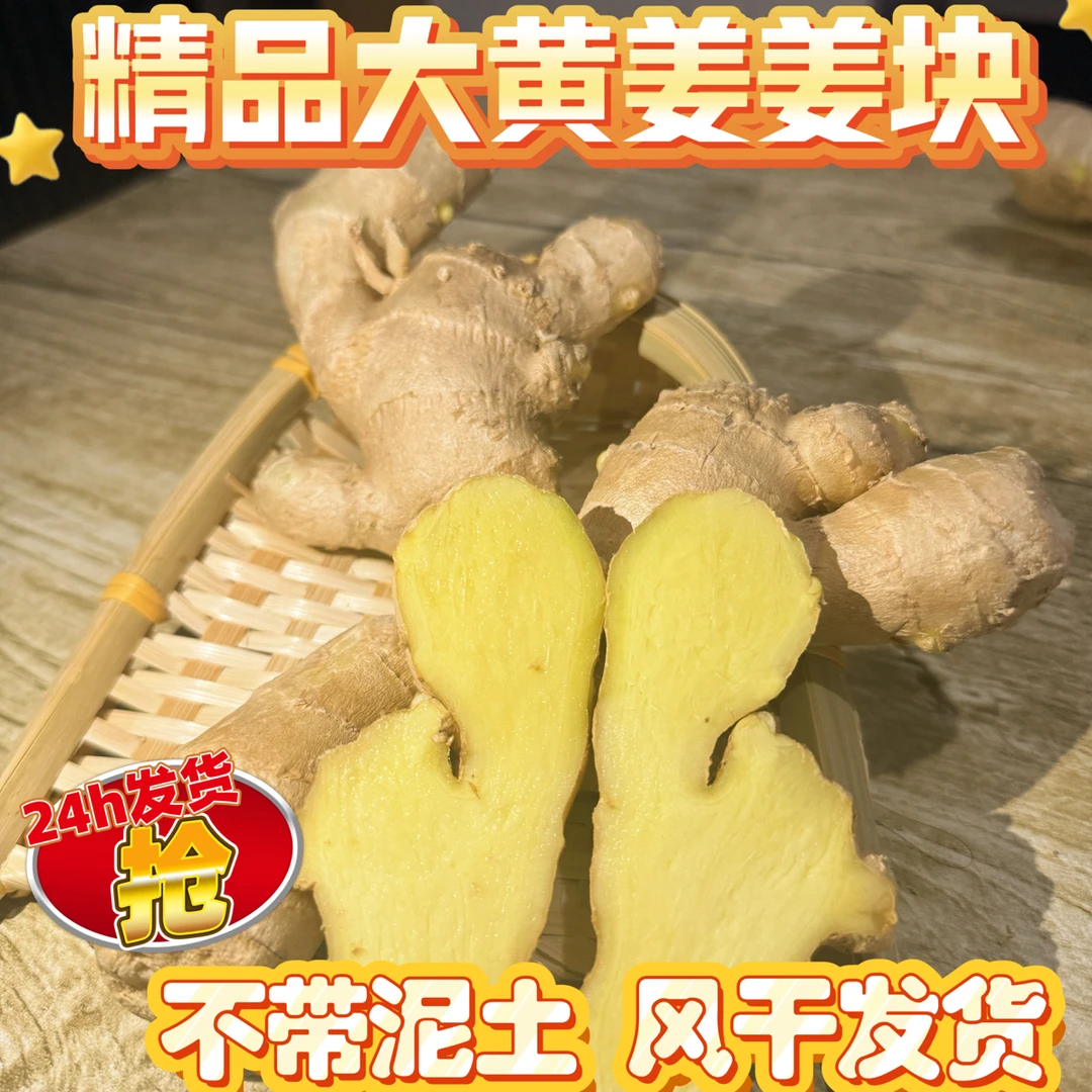 【大黄姜-姜块】沂蒙山大黄姜干净不带泥单枝姜味浓郁家常炒菜