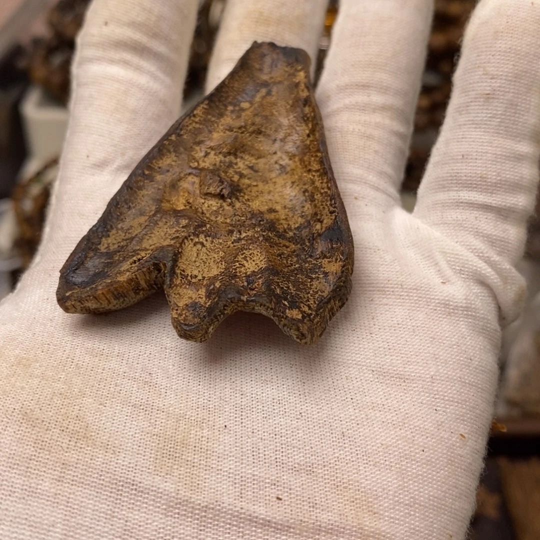 N***w沉香沉香碎屑7.8克