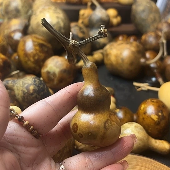 豆****呼葫芦葫芦葫芦葫芦