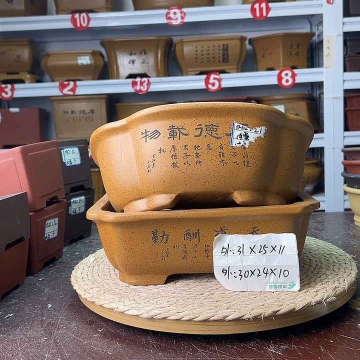 紫砂花盆蛇年大吉