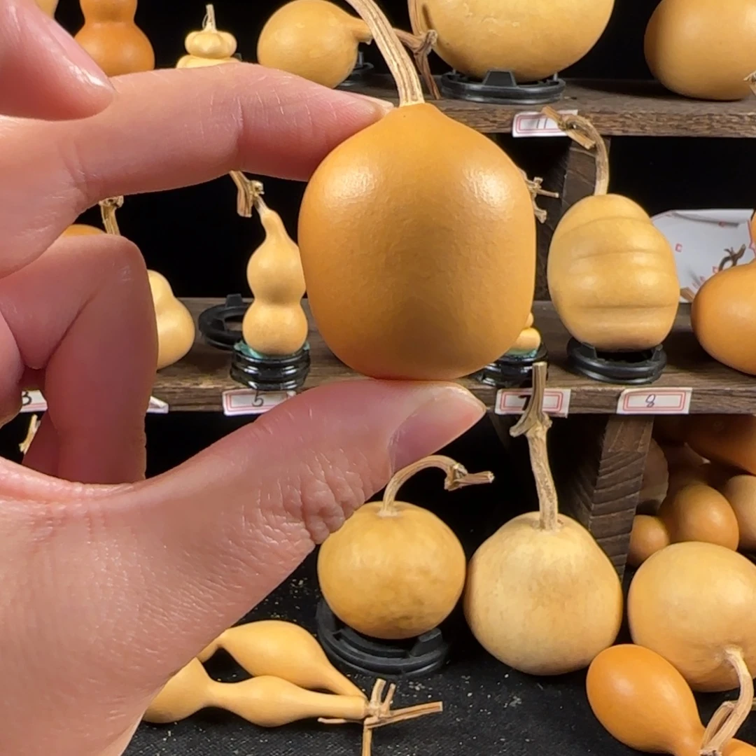 胖墩小葫芦葫芦葫芦