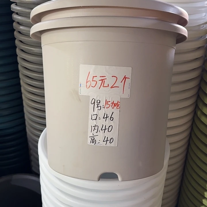 微瑕9#口径46灰白3个无托