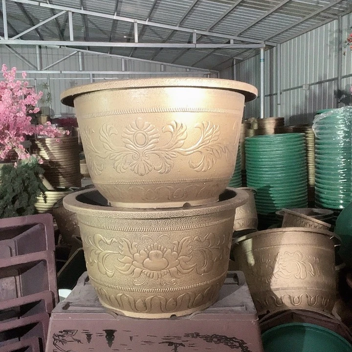 梅花照眼 依然旧风味